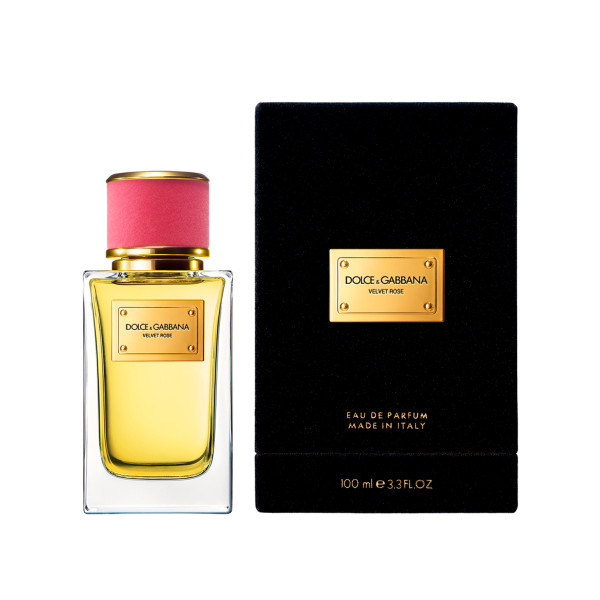 Velvet Rose Dolce & Gabbana
