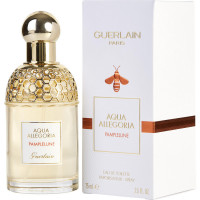 Aqua Allegoria Pamplelune