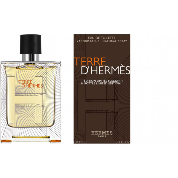 Terre D'Hermès Flacon H - Hermès Eau De Toilette Spray 100 ml