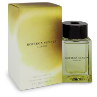 Bottega Veneta Illusione