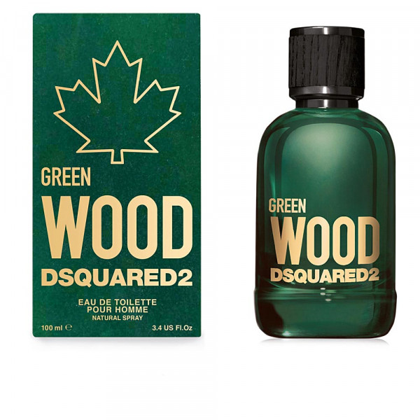 Green wood pour homme - dsquared2 eau de toilette spray 100 ml