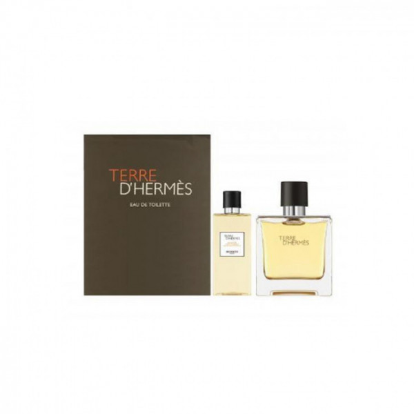Terre D'Hermès - Hermès Coffret Cadeau 100 ml