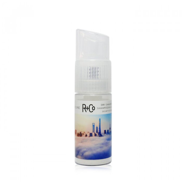 Skyline Shampooing sec poudre - R+Co Shampoing 28 g