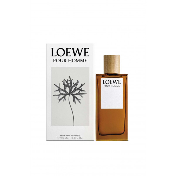 Loewe pour homme - loewe eau de toilette spray 100 ml