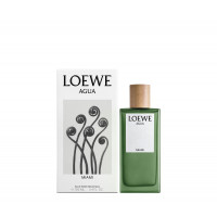 Agua De Loewe Miami