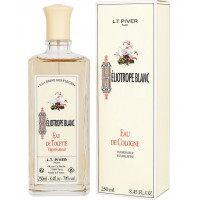 Héliotrope Blanc