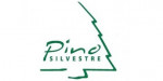 Pino Silvestre Pino Silvestre